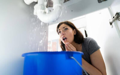 Expert Tips on Handling Plumbing Emergencies Until the Plumber Arrives