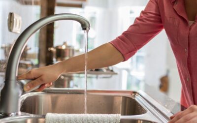 Optimizing Your Home’s Water Usage During the Dry Season